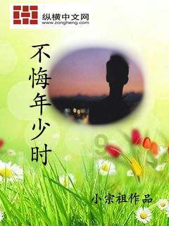 植物大战僵尸12